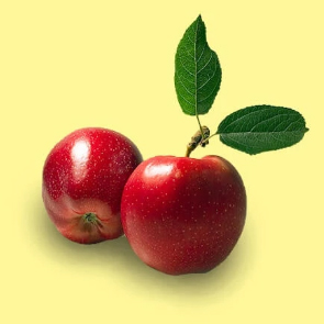 Apples